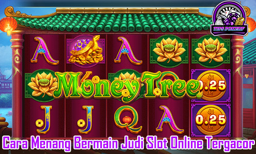 Cara Menang Bermain Judi Slot Online Tergacor